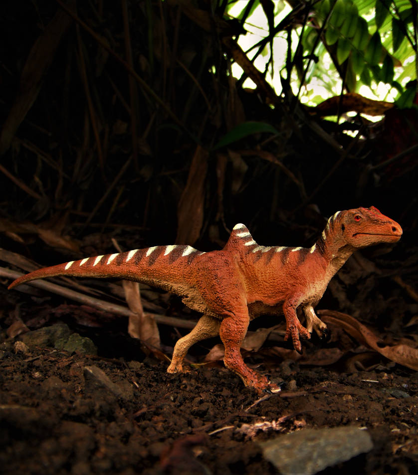 Concavenator by zoome3 on DeviantArt