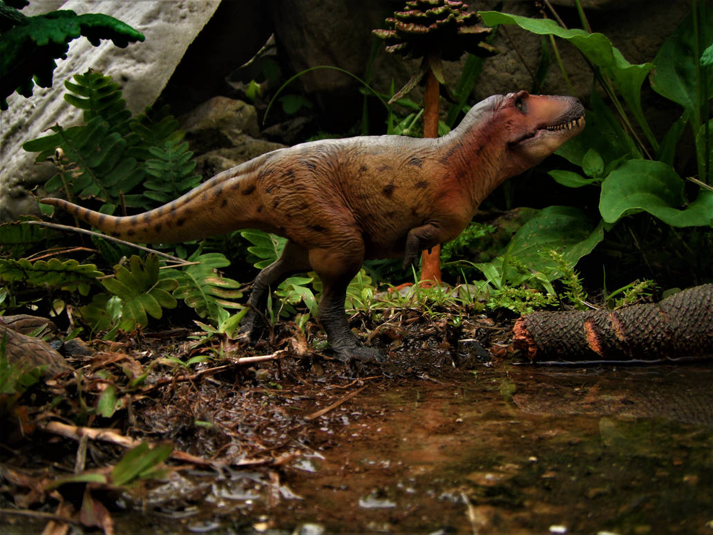 Lythronax Tooth Lythronax by zoome3 on DeviantArt