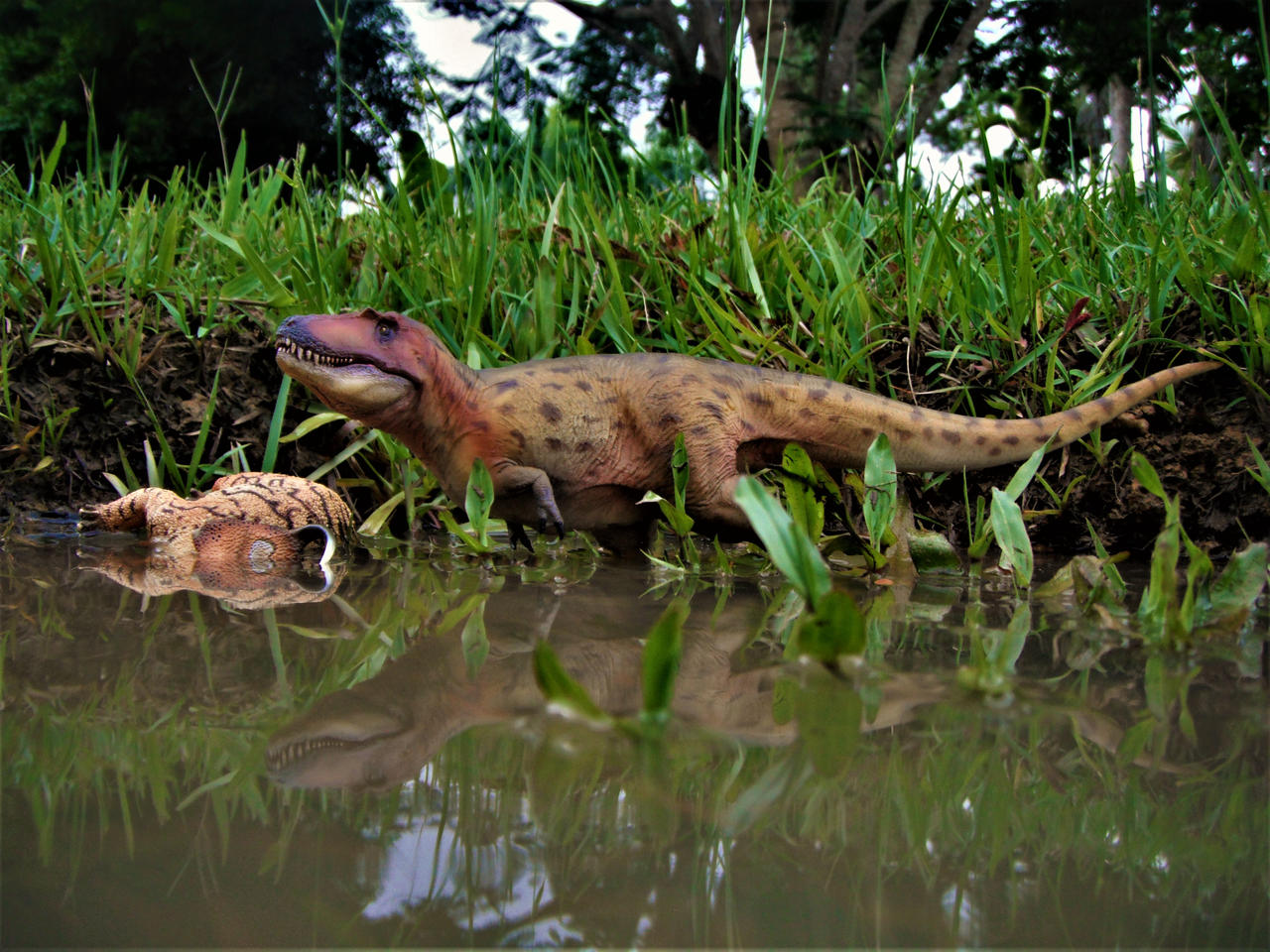 Lythronax Tooth Lythronax by zoome3 on DeviantArt
