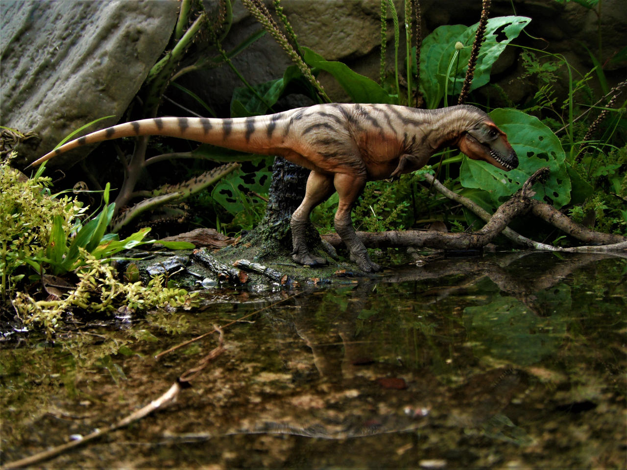 Gorgosaurus by zoome3 on DeviantArt