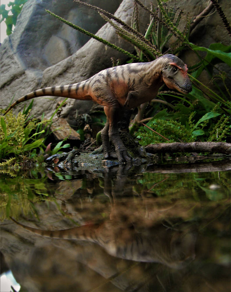 Gorgosaurus by zoome3 on DeviantArt