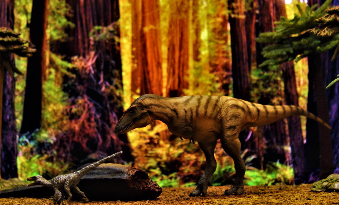 Gorgosaurus by zoome3 on DeviantArt