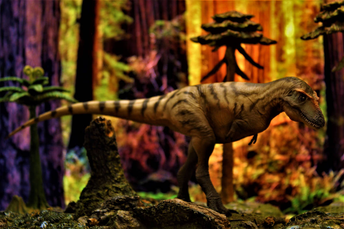 Gorgosaurus by zoome3 on DeviantArt