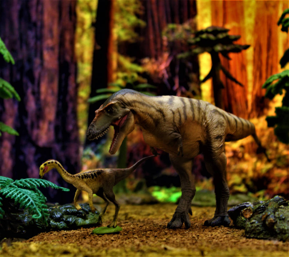 Gorgosaurus by zoome3 on DeviantArt