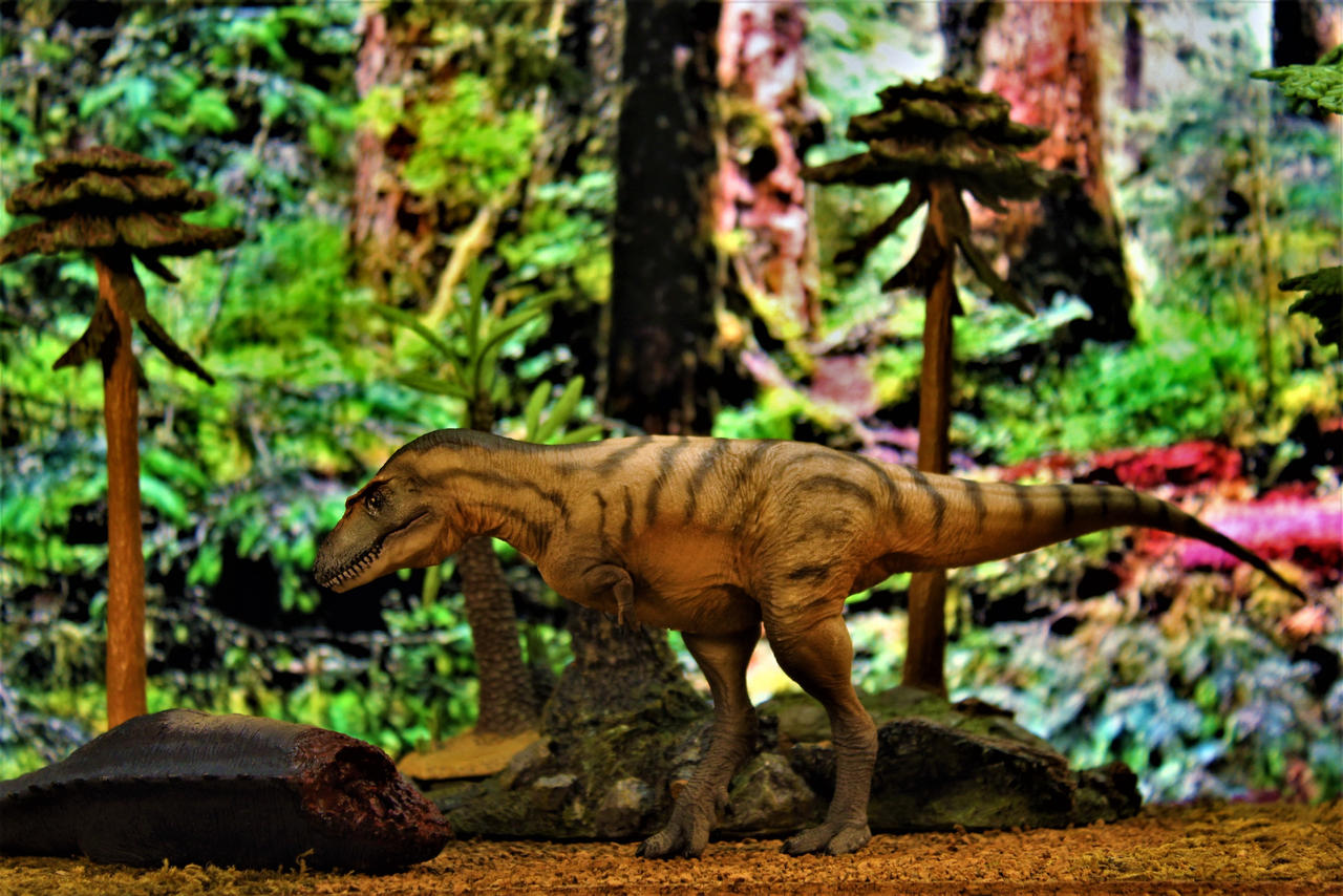 Gorgosaurus by zoome3 on DeviantArt
