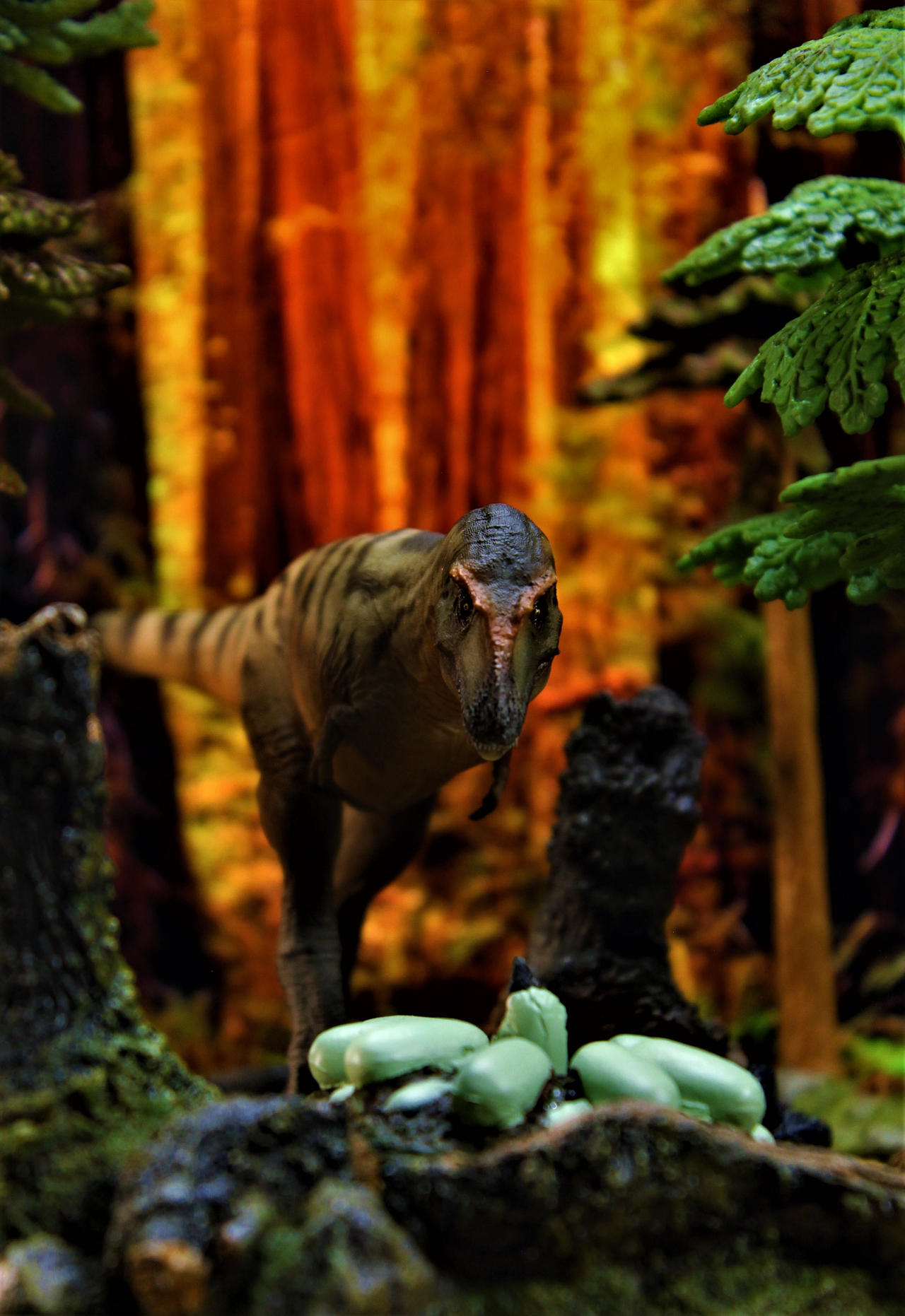 Gorgosaurus by zoome3 on DeviantArt