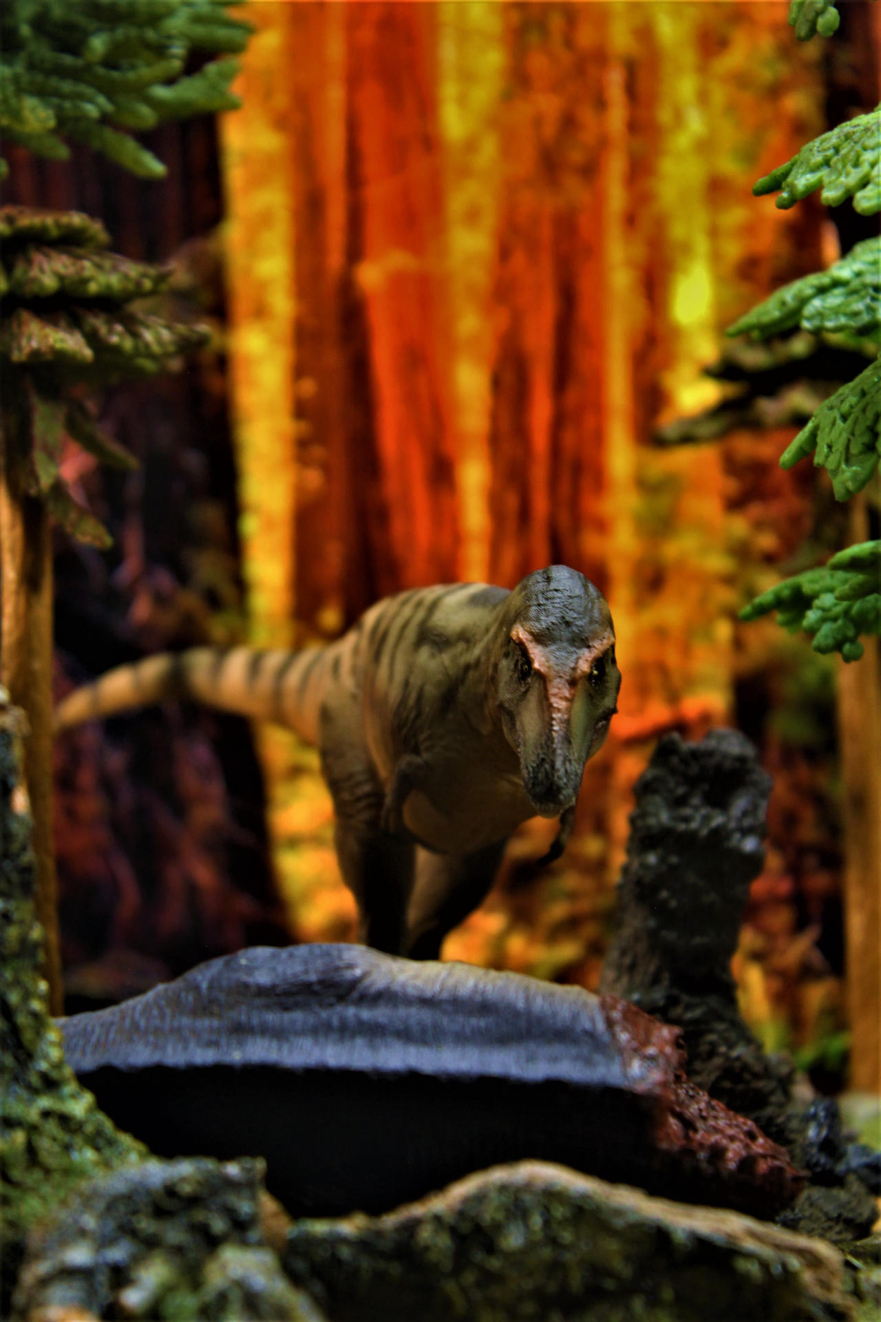 Gorgosaurus by zoome3 on DeviantArt