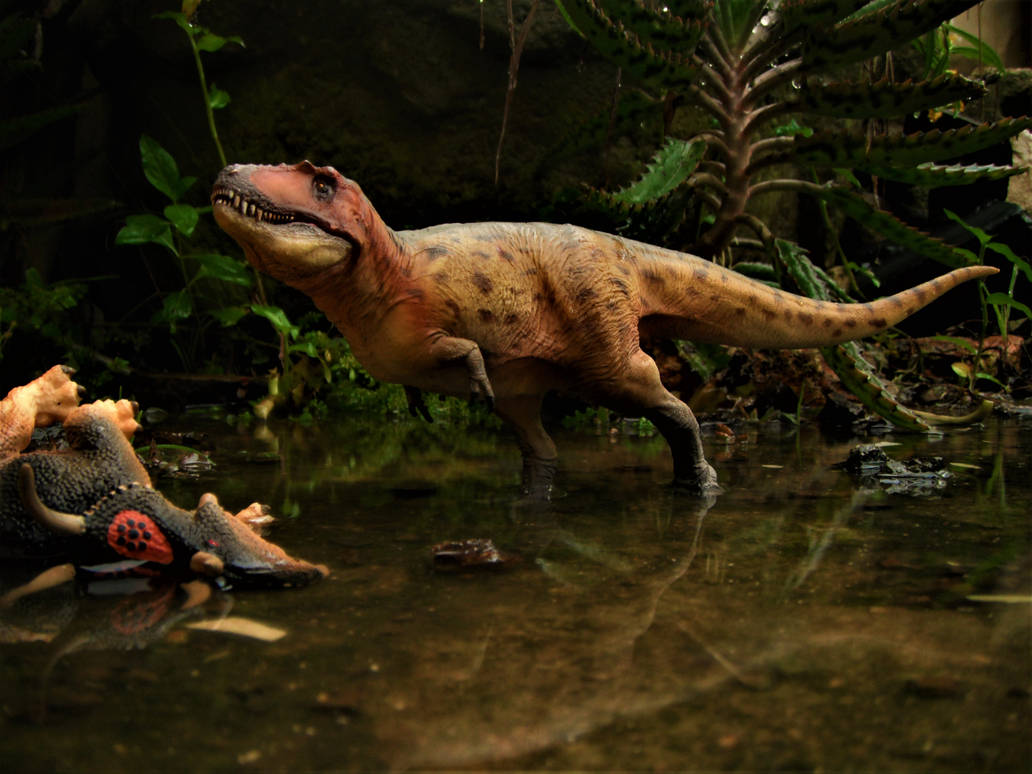 Lythronax Tooth Lythronax by zoome3 on DeviantArt