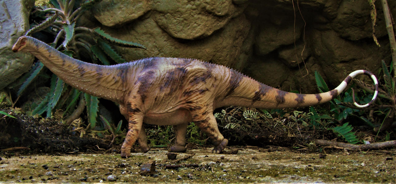 Apatosaurus by zoome3 on DeviantArt