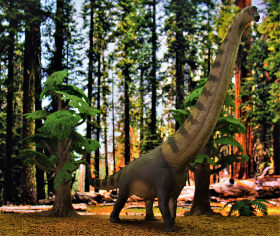 Alamosaurus By Zoome3 On DeviantArt alamosaurus-by-zoome3-on-deviantart