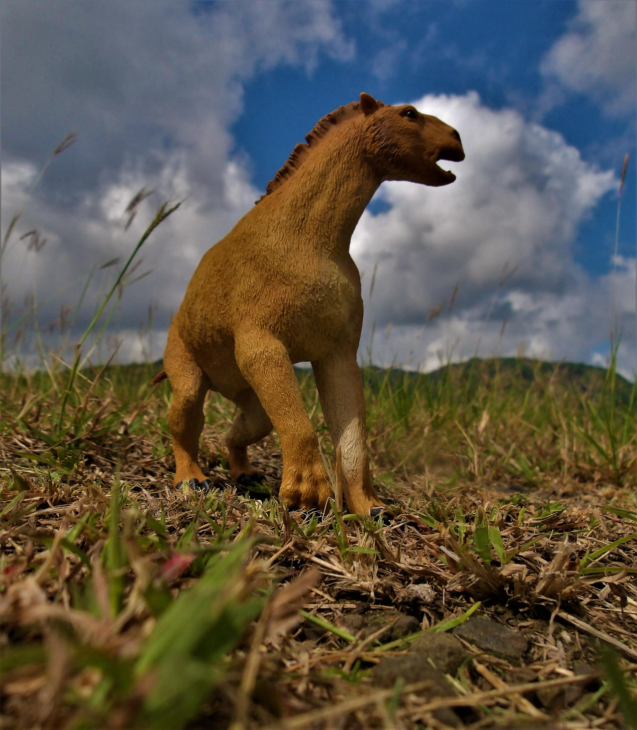 Moropus Moropus by zoome3 on DeviantArt