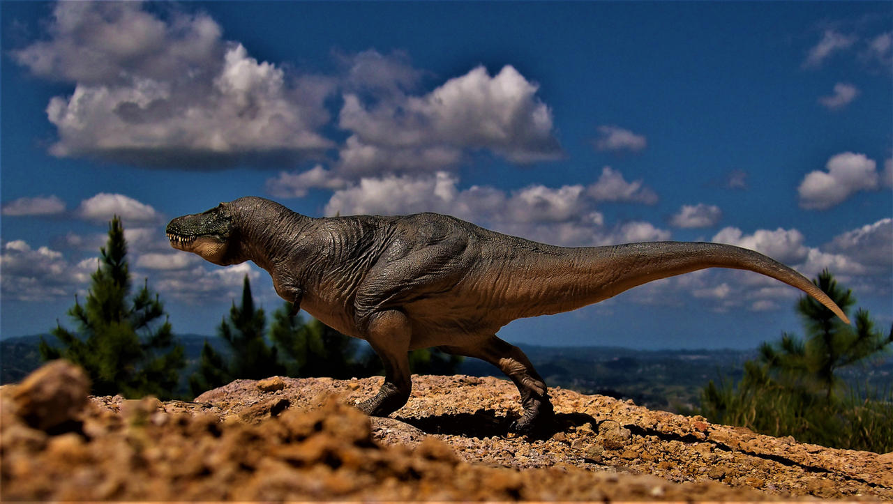 Tarbosaurus By Zoome3 On DeviantArt tarbosaurus-by-zoome3-on-deviantart