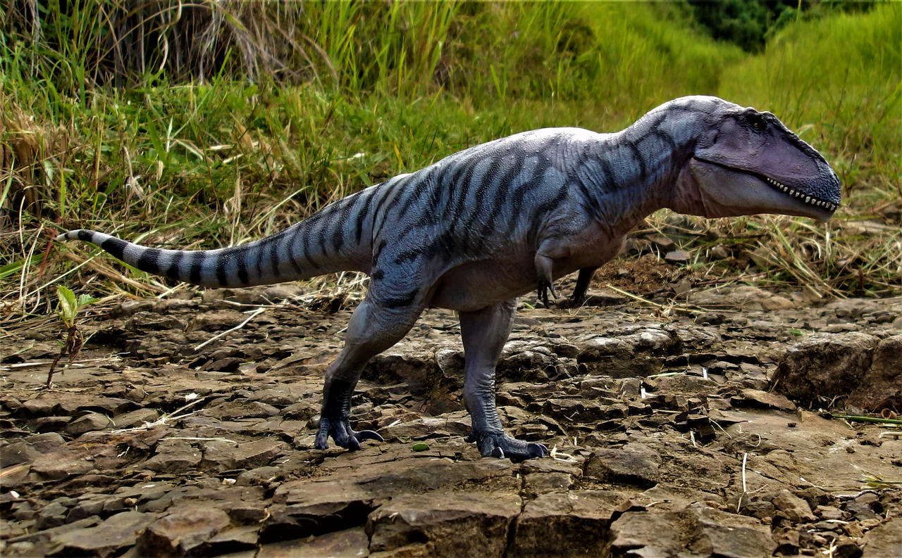 Meraxes gigas by zoome3 on DeviantArt