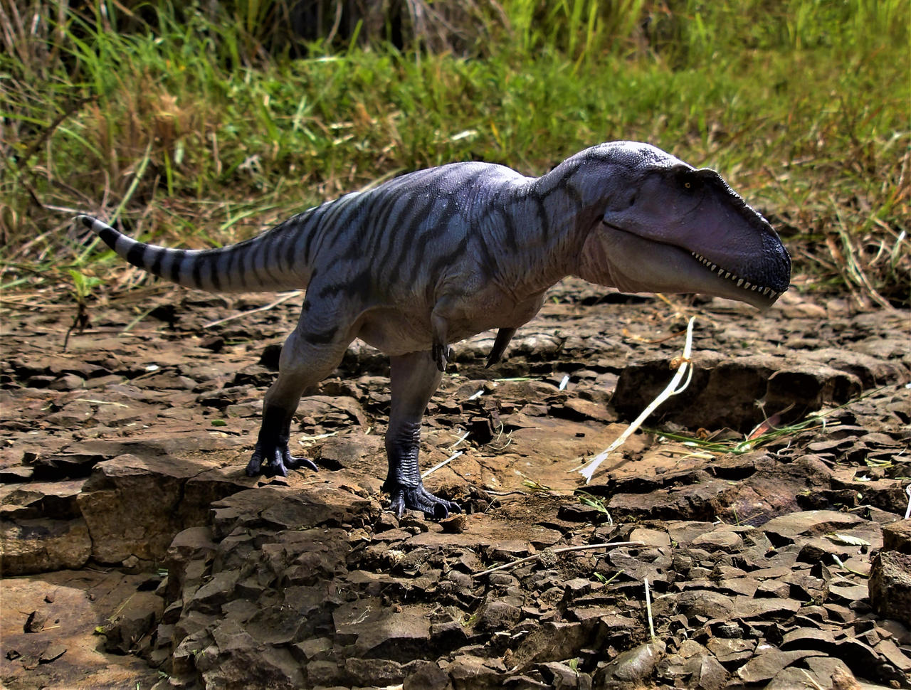 Meraxes gigas by zoome3 on DeviantArt