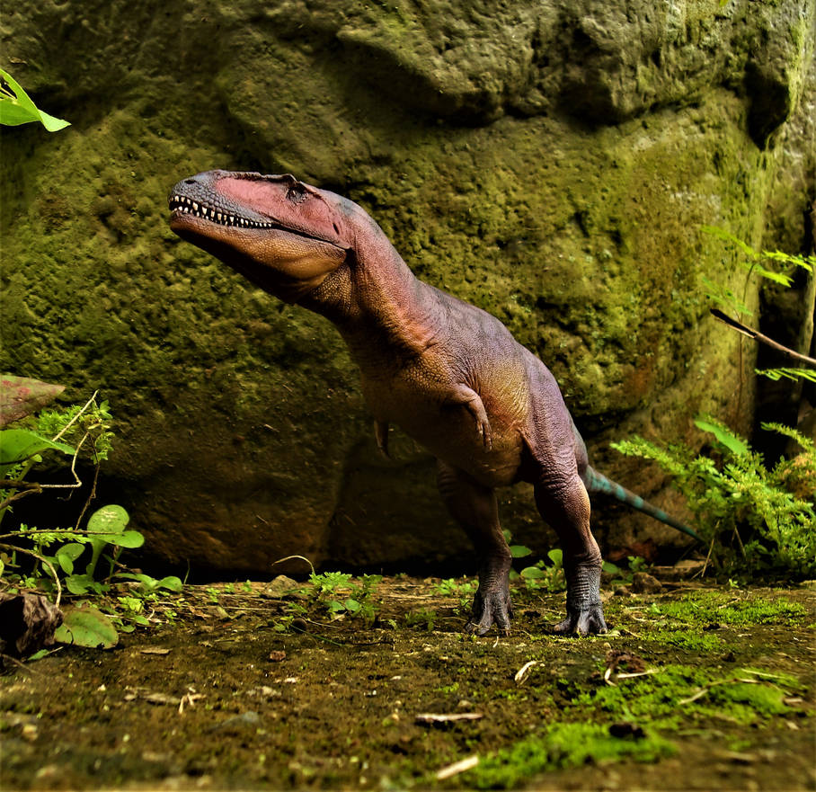 Tyrannotytan Tyrannotitan by zoome3 on DeviantArt