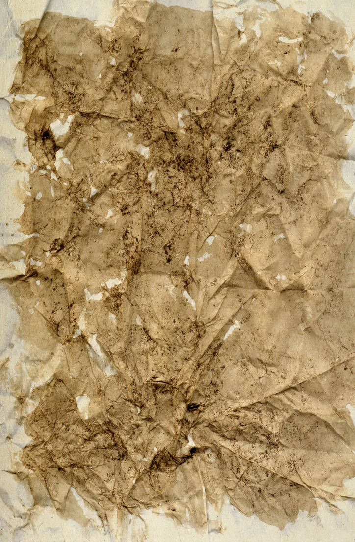 Coffee Paper4 by AbigelStock