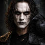 The Crow That Never Forgets