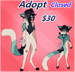 Adopt Claimed