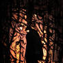 Dark Figure I Fear