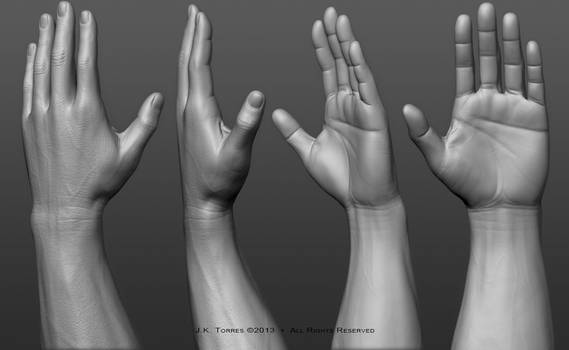 Hands: Anatomy sculpting exercise.