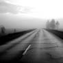 Foggy Morning
