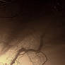 Lost In The Failing Light