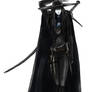 Vampire hunter D