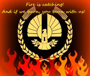 Fire is Catching!