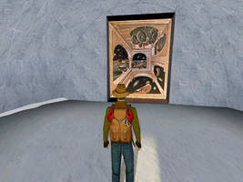 Igloo interior