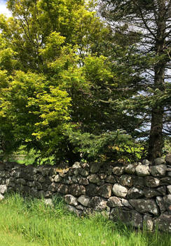 Dry Stone Wall