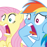 Fluttershy and Rainbow Dash Shocked