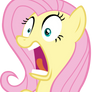 Fluttershy Shocked