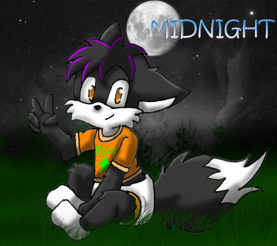 Midnight Fox Rabbit Midnight The Fox by BabyChrisFox on DeviantArt