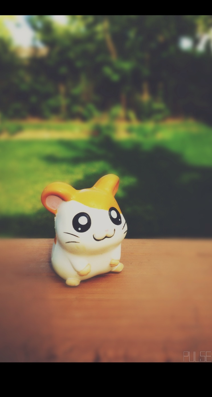 Hamtaro Wallpaper 1