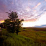 Field At Sunset Stock