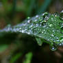 Drops II