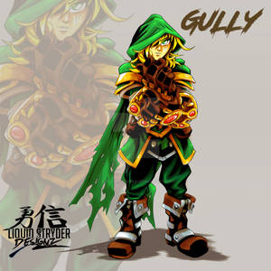 Gully Design