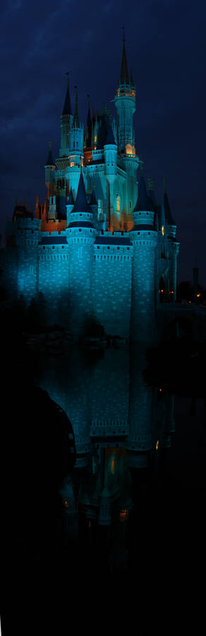 Disney Castle - Panoramic