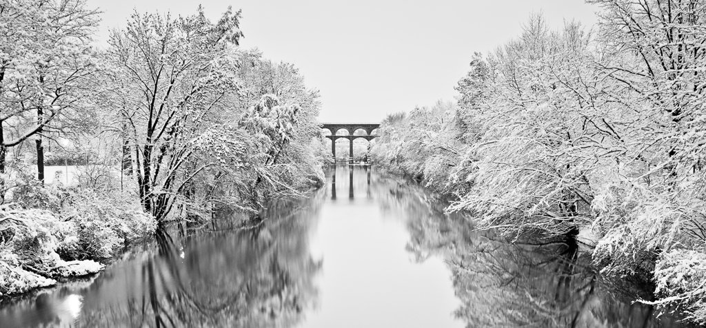 the world turned white