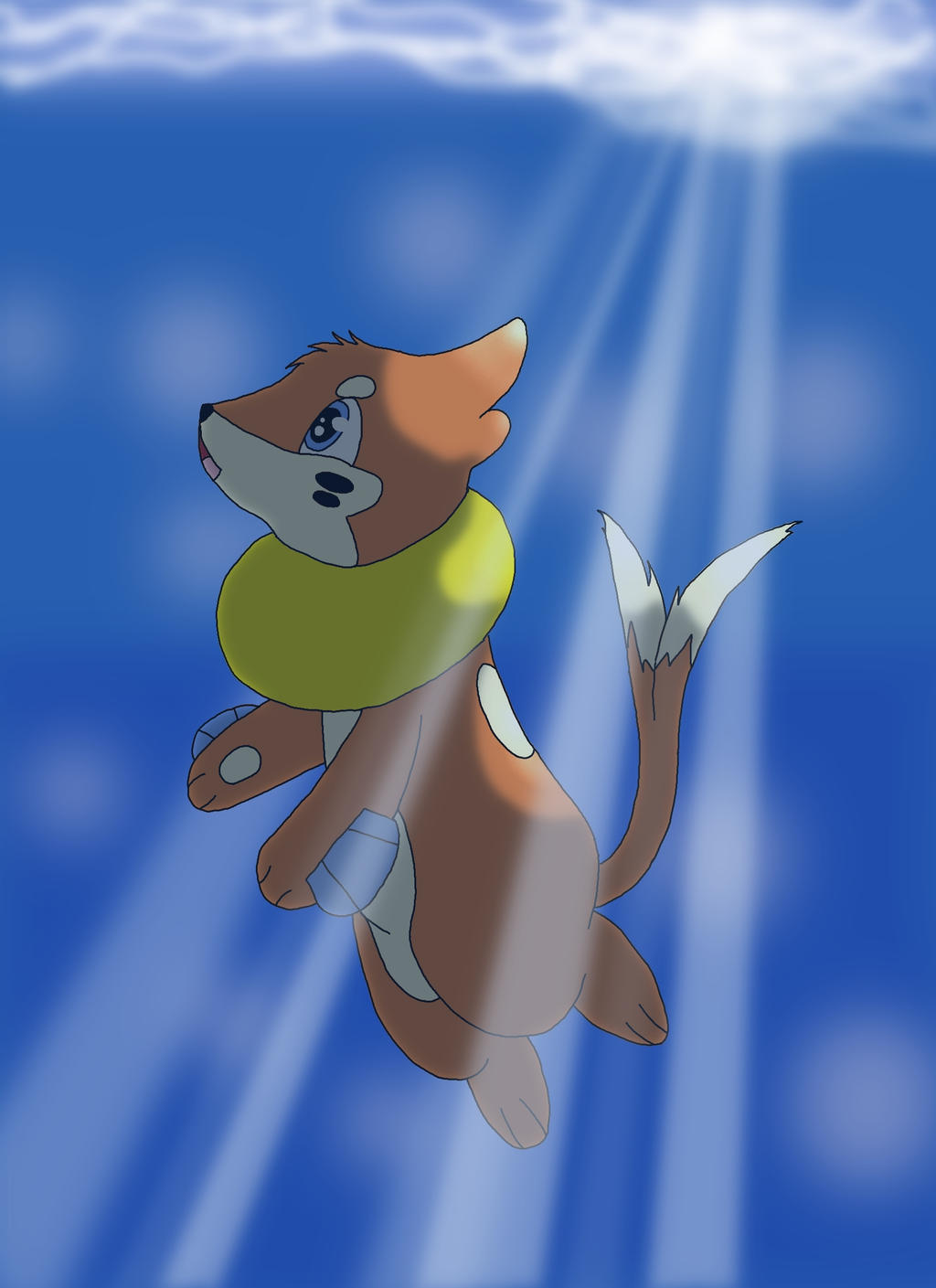 5: Buizel