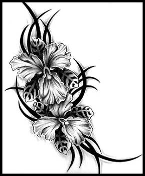 Tattoo Orchids