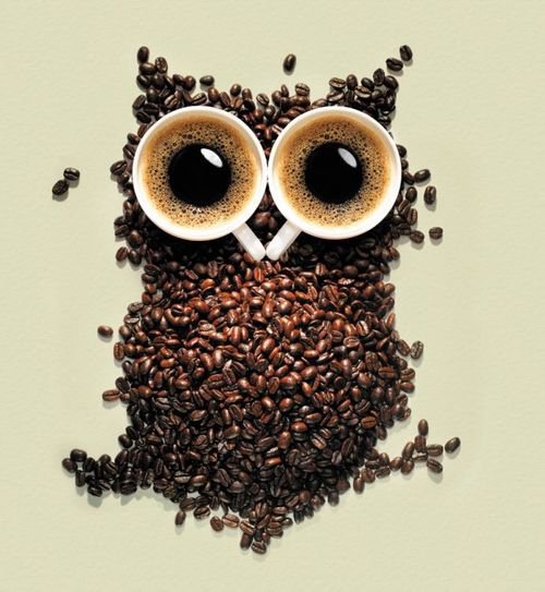 Coffee Owl..