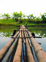 Bamboo Bridge