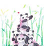 Panda Tower