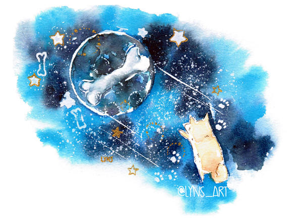 ...and the Shiba jumped over the moon...