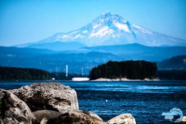 Layers of Blue Nature