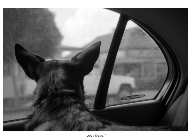 Koki + Car Window