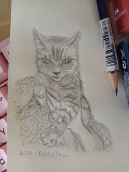 Cat Meme sketch | Happy New Year 2023