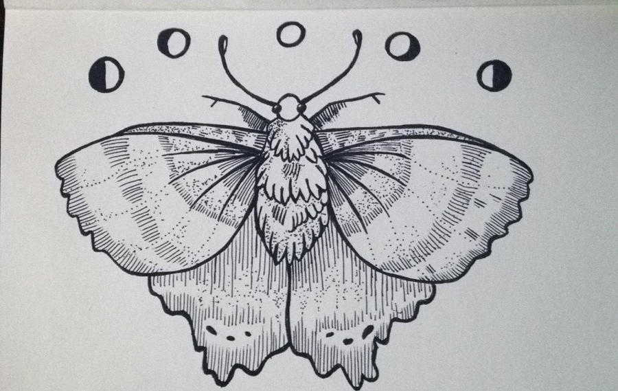Moth Insect Design Moth Design by AndroHippie on DeviantArt