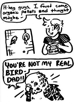 Bird-dad